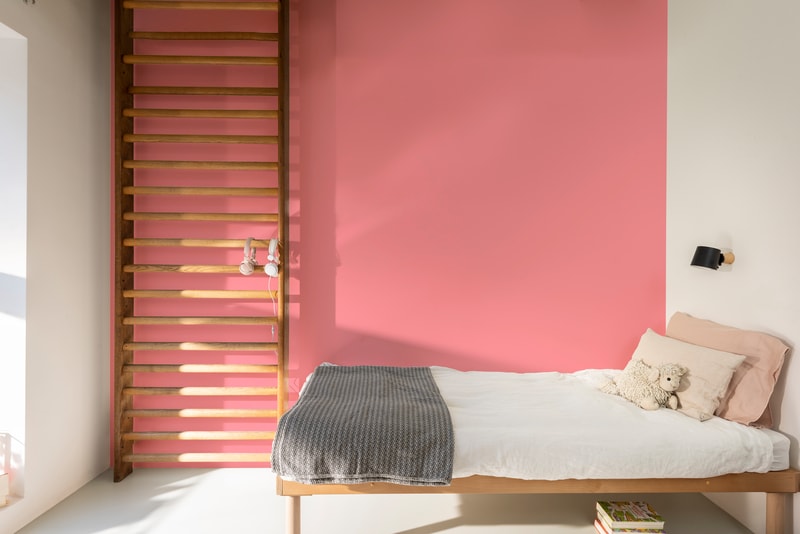 Dulux PROFESSIONAL Rezisto 5