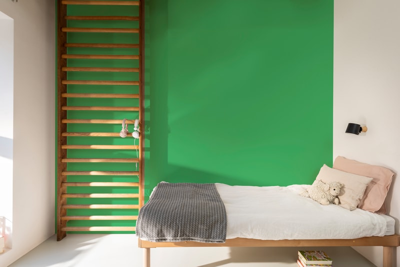 Dulux PROFESSIONAL Rezisto 5