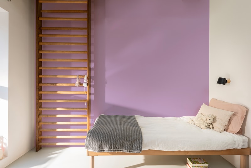 Dulux PROFESSIONAL Rezisto 5