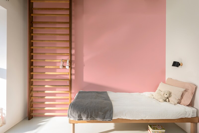 Dulux PROFESSIONAL Rezisto 5