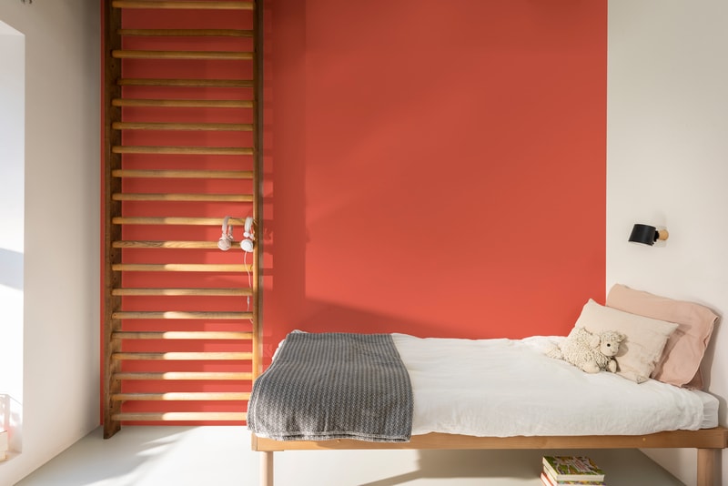 Dulux PROFESSIONAL Rezisto 5