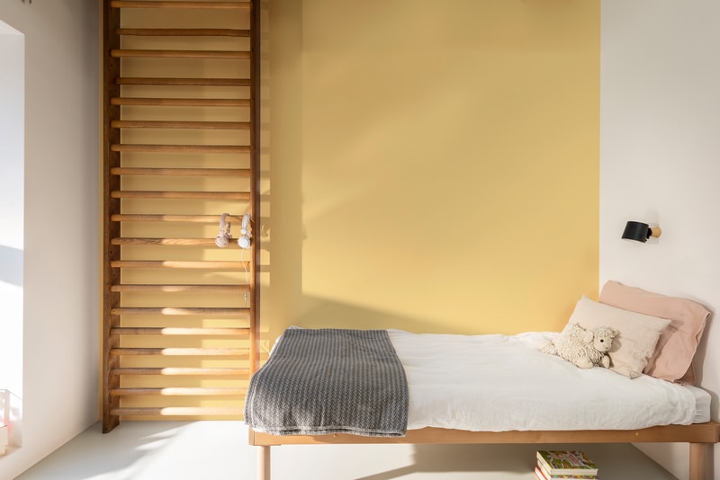 Dulux PROFESSIONAL Rezisto 5