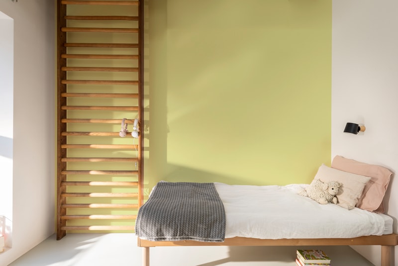 Dulux PROFESSIONAL Rezisto 5