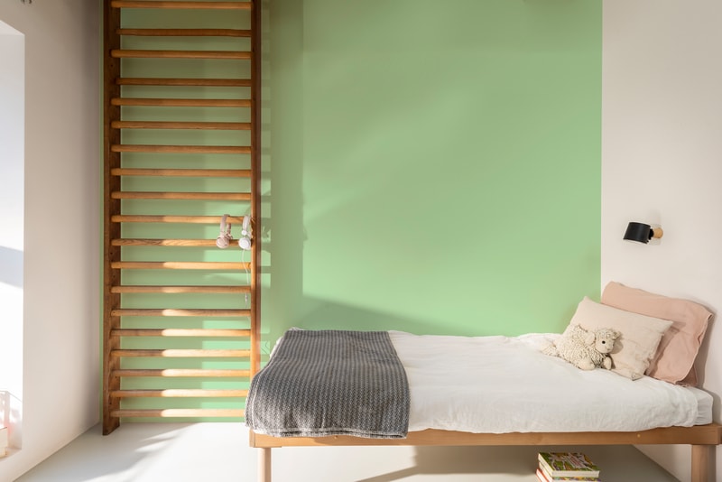 Dulux PROFESSIONAL Rezisto 5