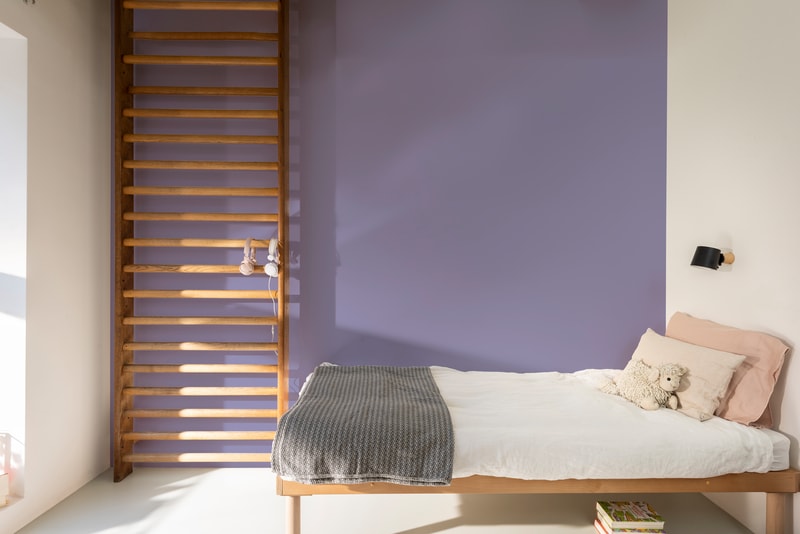 Dulux Paint Mixing Matt