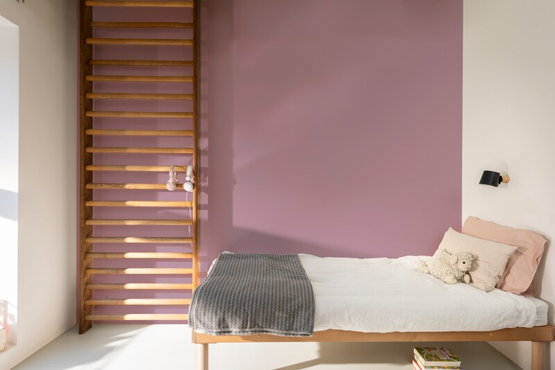 Dulux PROFESSIONAL Rezisto 5