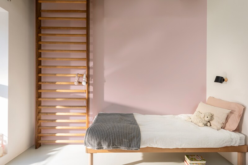 Dulux PROFESSIONAL Rezisto 5