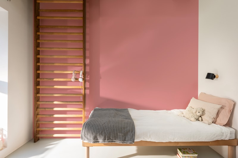 Dulux Paint Mixing Matt