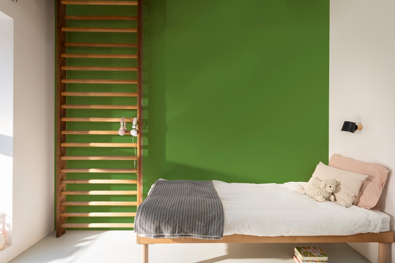 Dulux Luxurious Silk Tinted