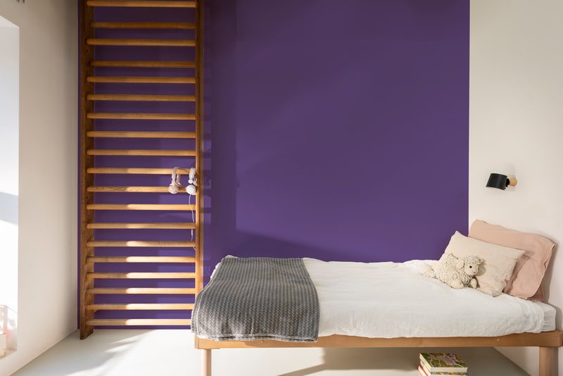 Dulux PROFESSIONAL Rezisto 5