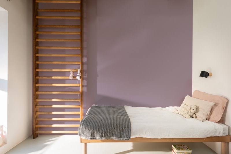 Dulux PROFESSIONAL Rezisto 5