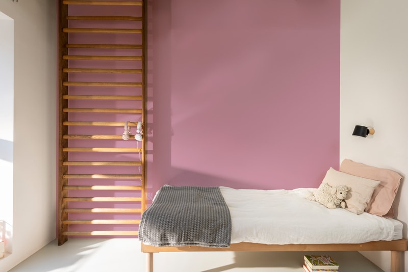 Dulux PROFESSIONAL Rezisto 5