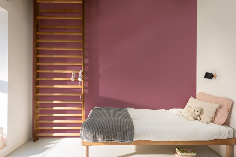 Dulux PROFESSIONAL Rezisto 5