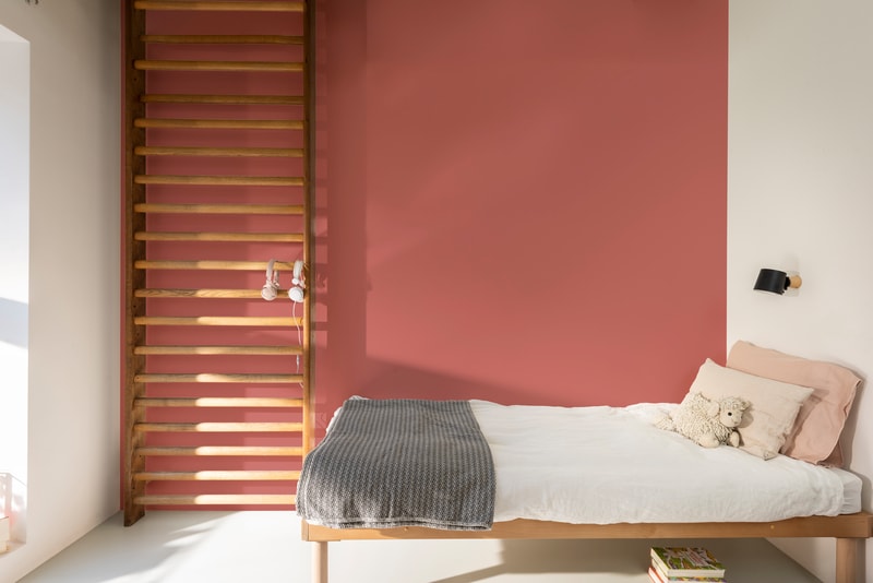 Dulux PROFESSIONAL Rezisto 5