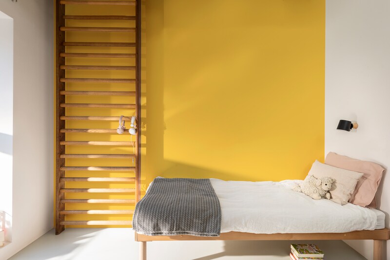 Dulux PROFESSIONAL Rezisto 5