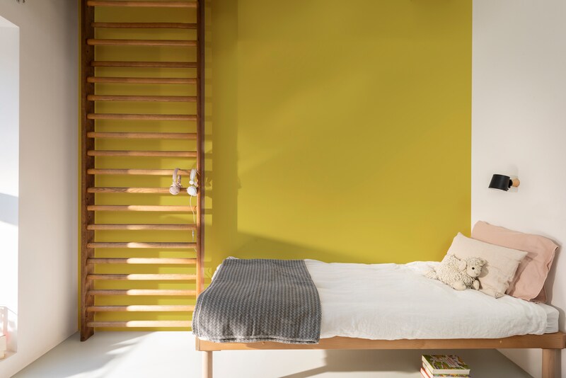 Dulux Paint Mixing Silk