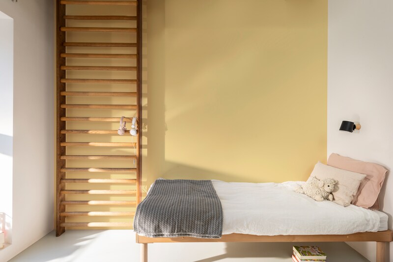 Dulux PROFESSIONAL Rezisto 5