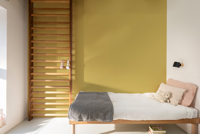 Dulux PROFESSIONAL Rezisto 5