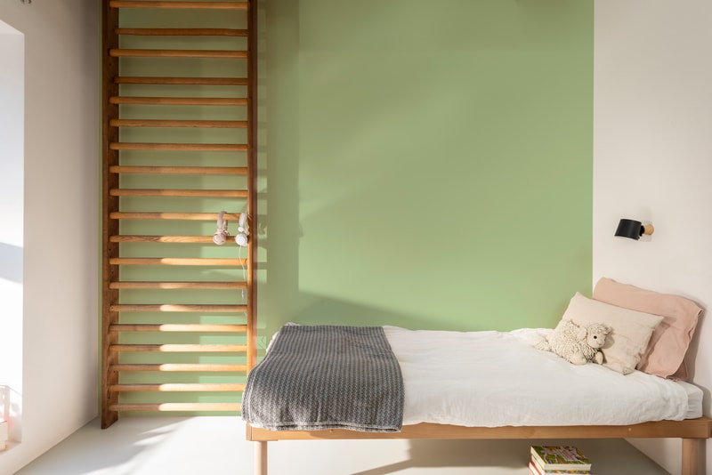 Dulux PROFESSIONAL Rezisto 5