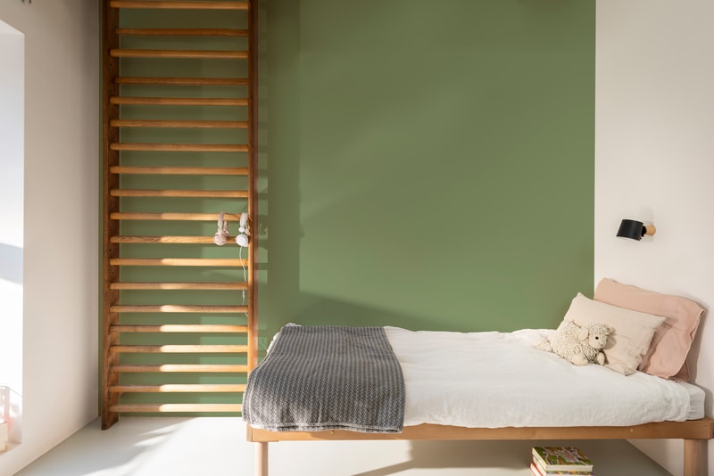 Dulux PROFESSIONAL Rezisto 5