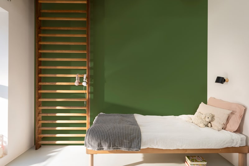 Dulux PROFESSIONAL Rezisto 5