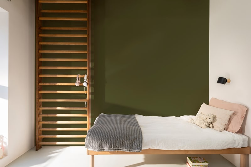 Dulux Paint Mixing Silk