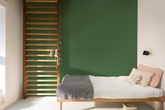 Coralit Total Brilhante