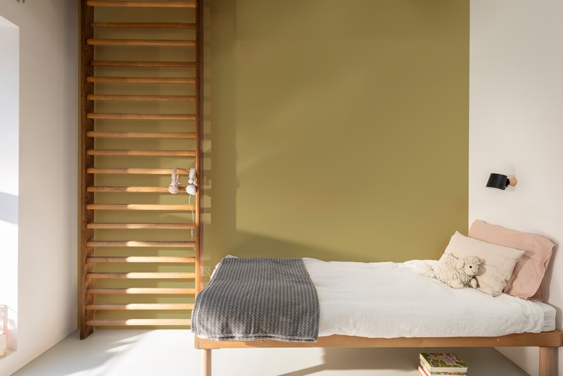 Dulux PROFESSIONAL Rezisto 5