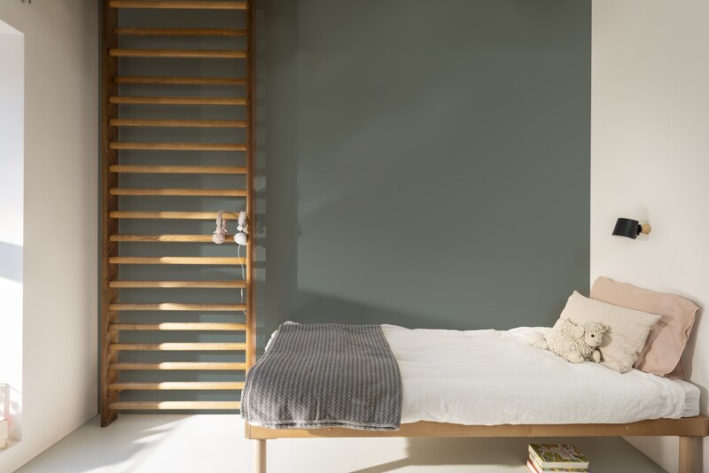 Dulux PROFESSIONAL Rezisto 5