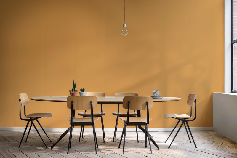 Pure by FlexaColorLab Grondlak