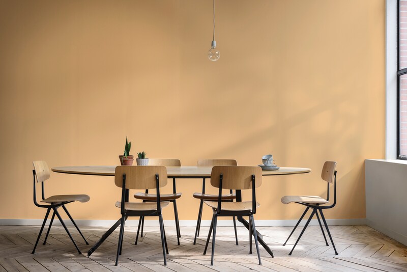 Dulux Promise SmartChoice Interior