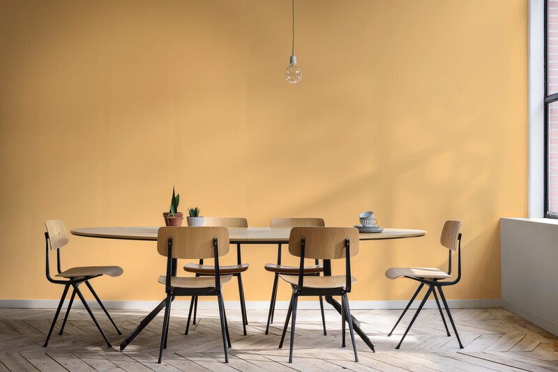 Dulux Paint Mixing Soft Sheen