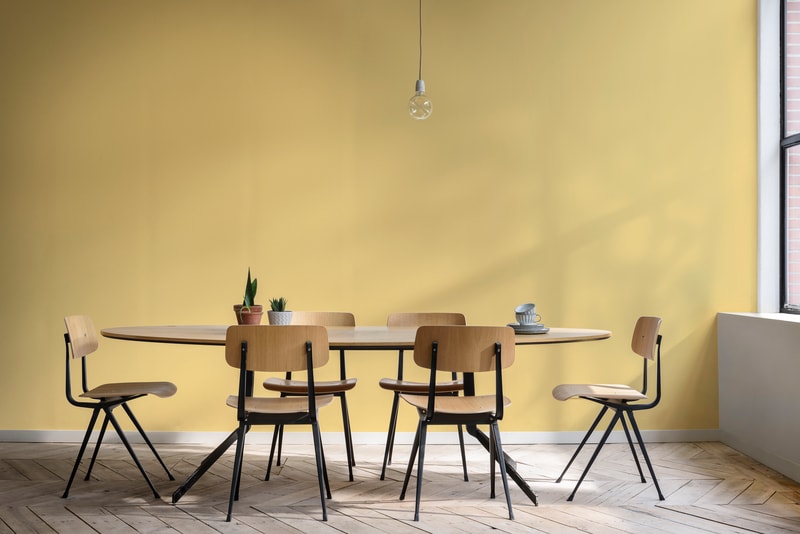 Dulux Paint Mixing Matt