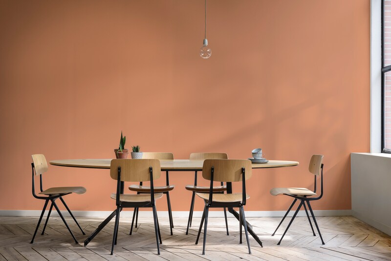 Dulux Paint Mixing Matt