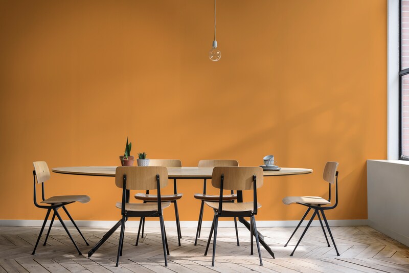 Decora Matte - Extra Fosco