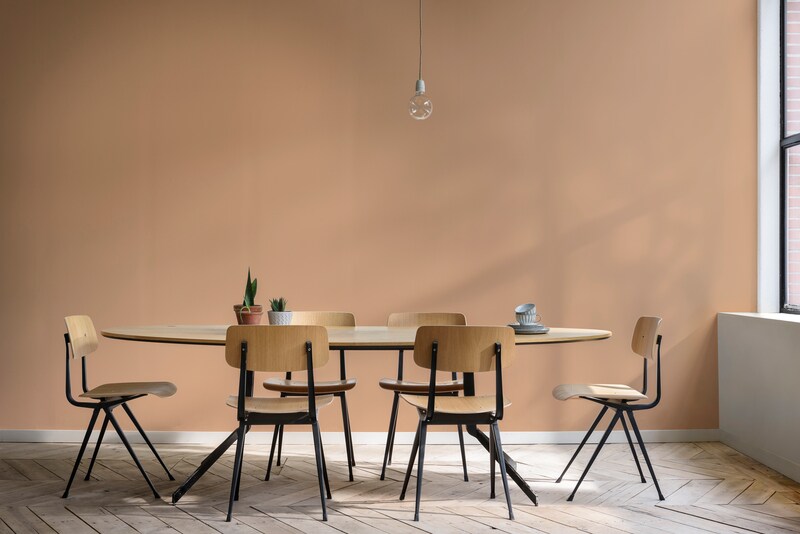 Dulux Promise Interior Emulsion