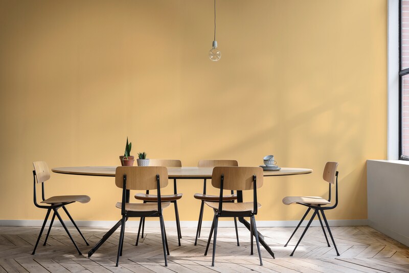 Paintex Ultratex Vinyl Emulsion