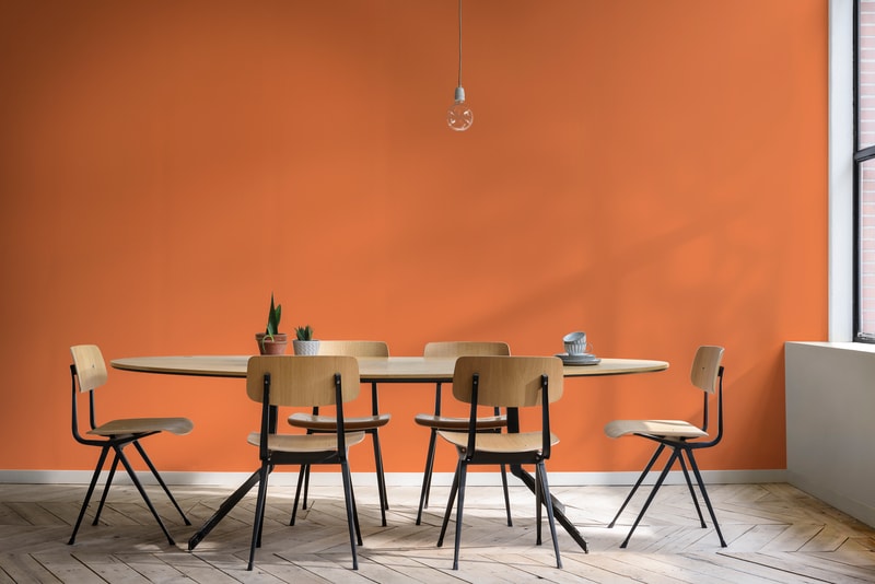 Decora Matte - Extra Fosco