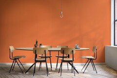 Decora Matte - Extra Fosco