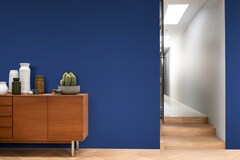 Dulux PROFESSIONAL Rezisto 5