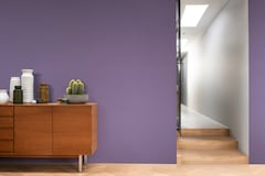 Dulux PROFESSIONAL Rezisto 5