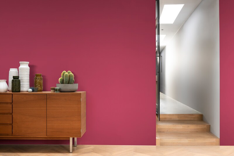 Dulux PROFESSIONAL Rezisto 5