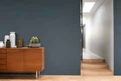 Dulux PROFESSIONAL Rezisto 5