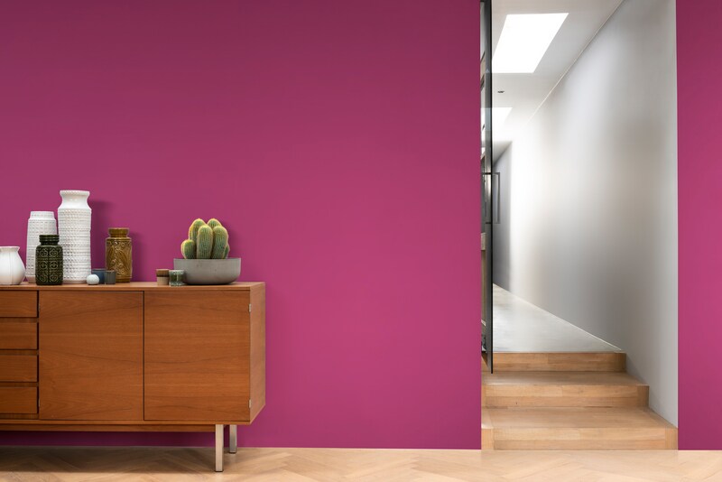 Dulux PROFESSIONAL Rezisto 5