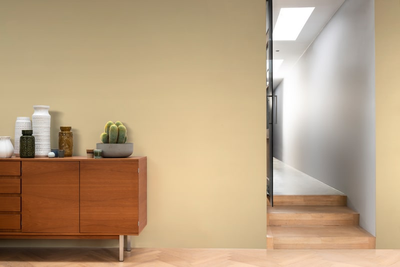 Dulux PROFESSIONAL Rezisto 5