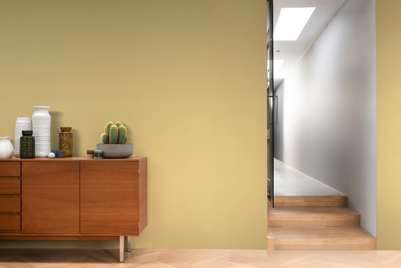 Dulux PROFESSIONAL Rezisto 5