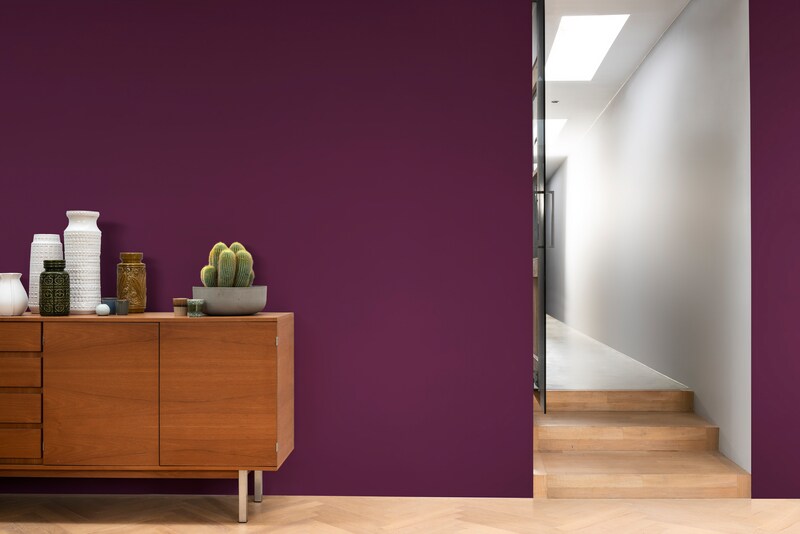 Dulux PROFESSIONAL Rezisto 5