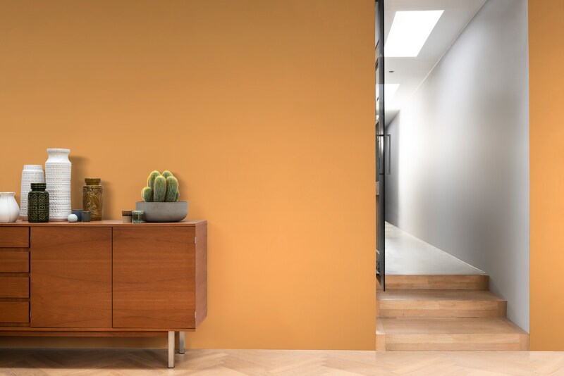 Dulux PROFESSIONAL Rezisto 5