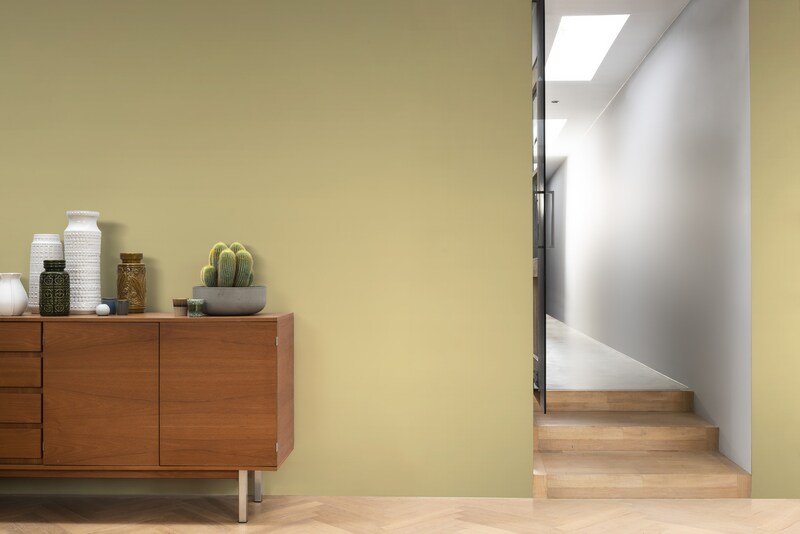 Dulux PROFESSIONAL Rezisto 5