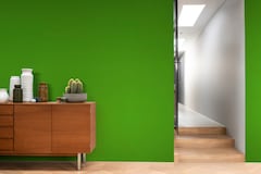 Dulux PROFESSIONAL Rezisto 5